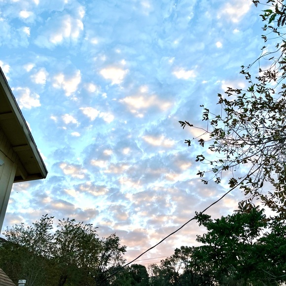 Meet your Posher, Paul - Picture 9 of 14